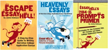 Students only survival guide to essay writing